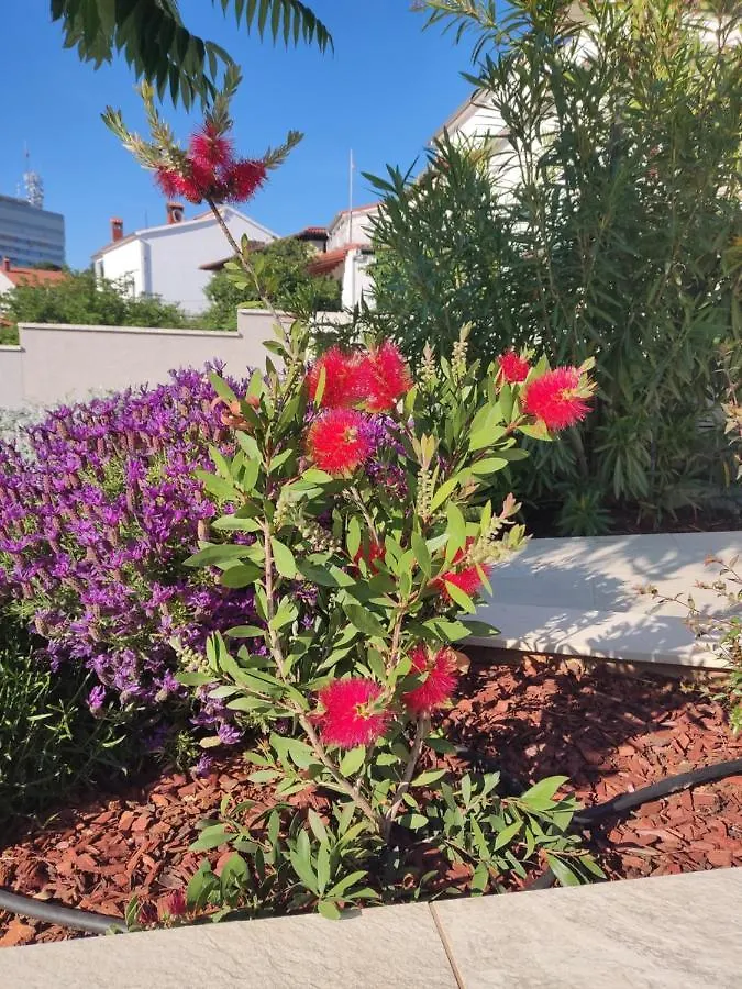 Apartment With Heated Pool, Villa Regina Pula 0*,  Kroatien
